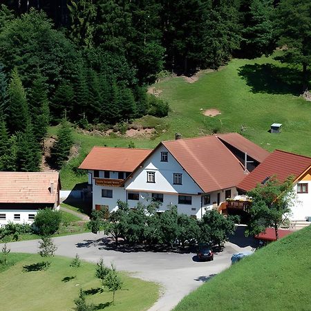 Appartement Holderstanzenhof à Bad Peterstal-Griesbach Extérieur photo