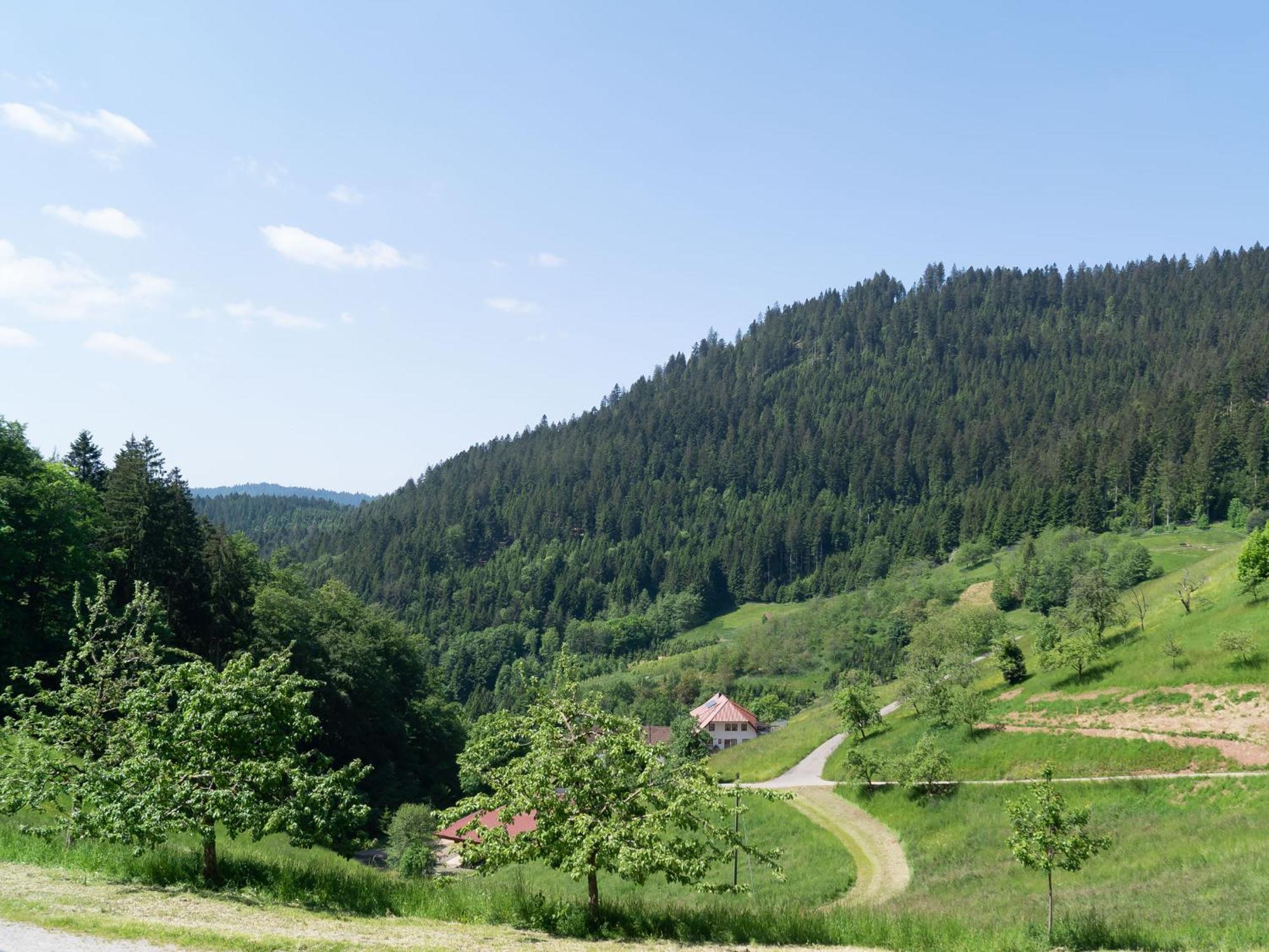 Appartement Holderstanzenhof à Bad Peterstal-Griesbach Extérieur photo