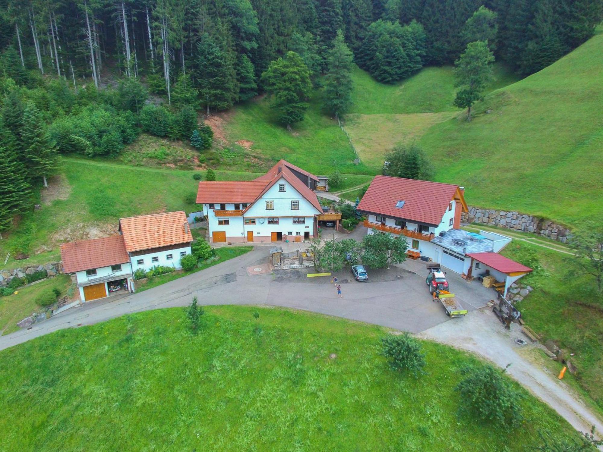 Appartement Holderstanzenhof à Bad Peterstal-Griesbach Extérieur photo