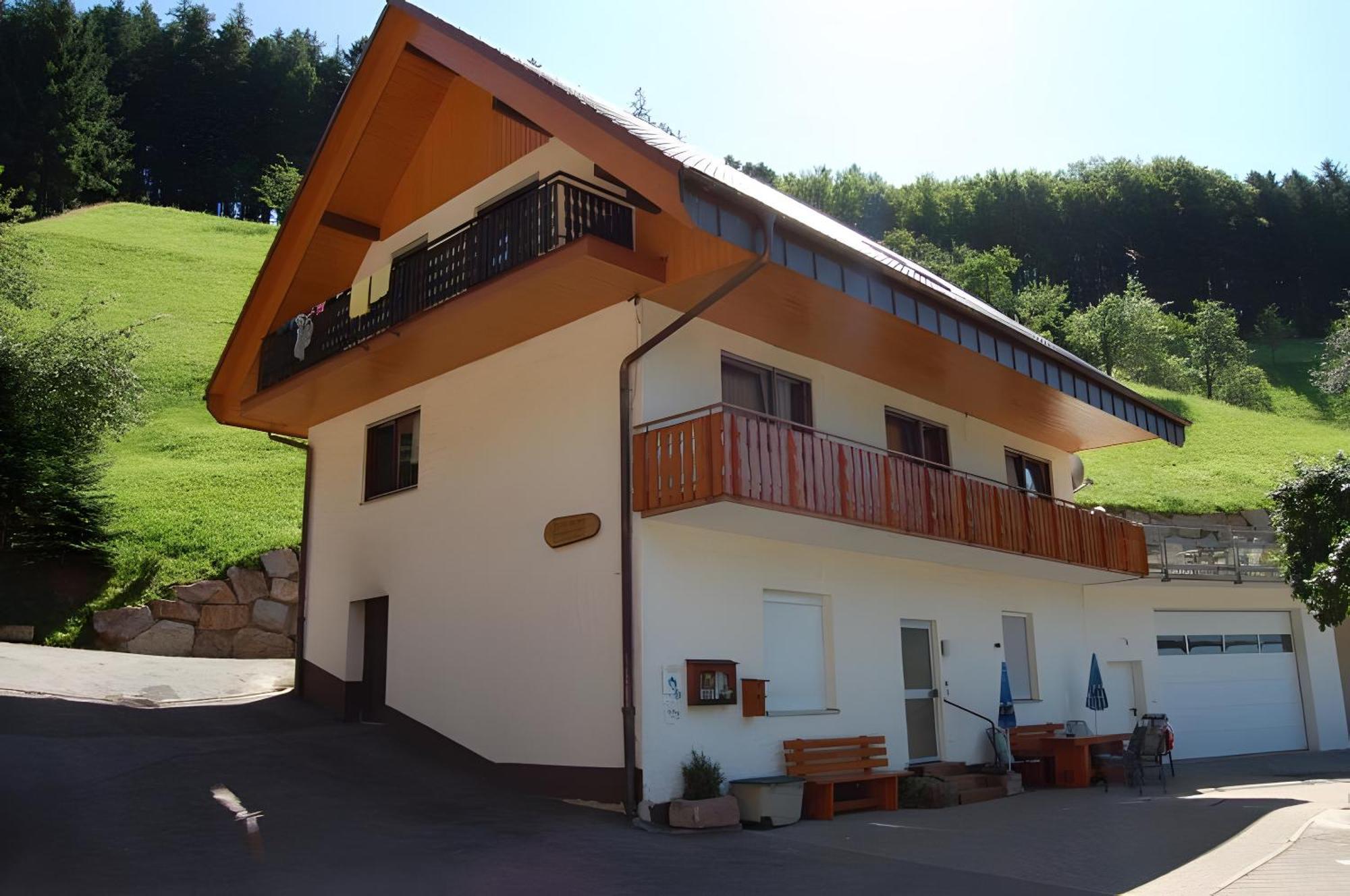 Appartement Holderstanzenhof à Bad Peterstal-Griesbach Extérieur photo