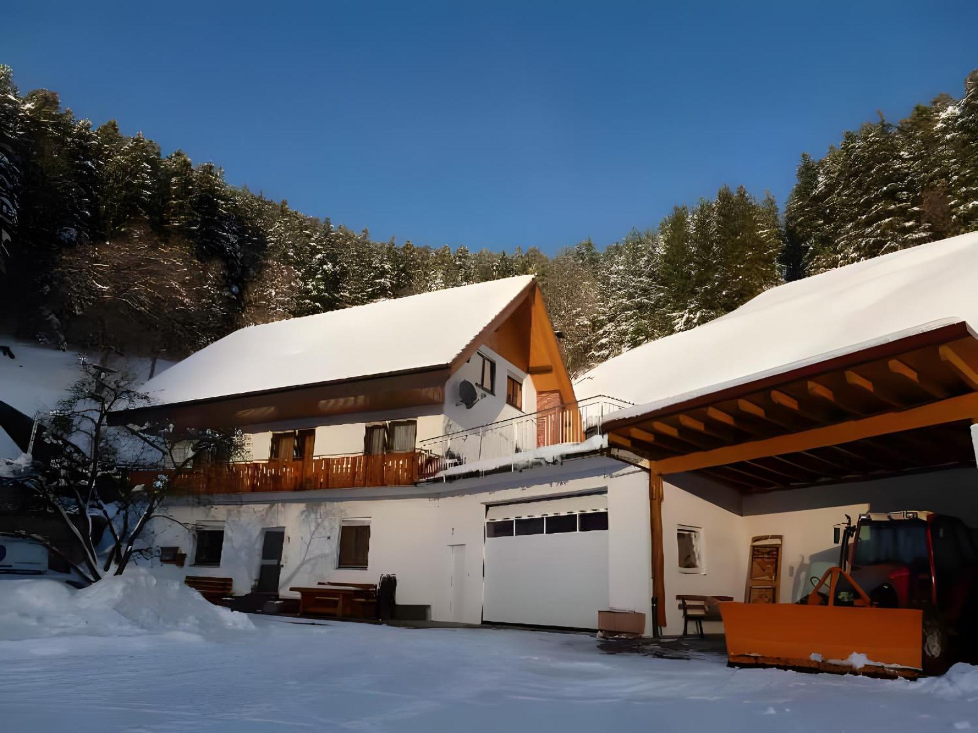Appartement Holderstanzenhof à Bad Peterstal-Griesbach Extérieur photo